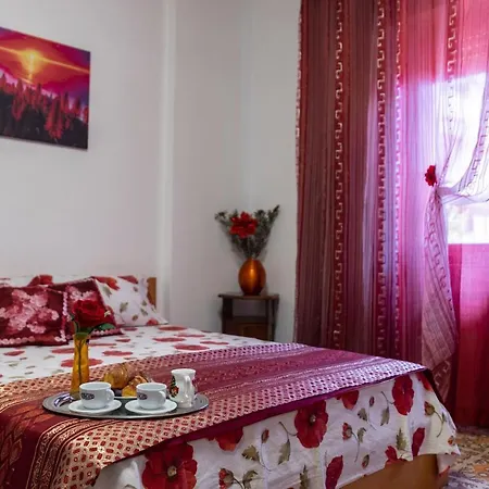 Airport Casa Sofia 500mt From The Appartamento *