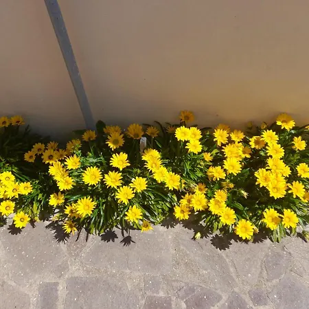 Appartamento Airport Casa Sofia 500mt From The Fiumicino