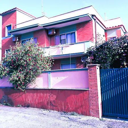 Airport Casa Sofia 500mt From The Appartamento *