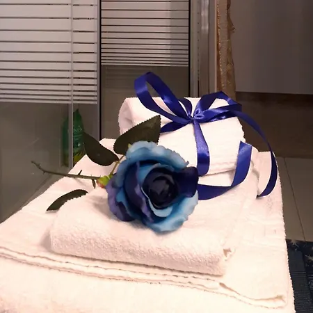 Airport Casa Sofia 500mt From The Appartamento