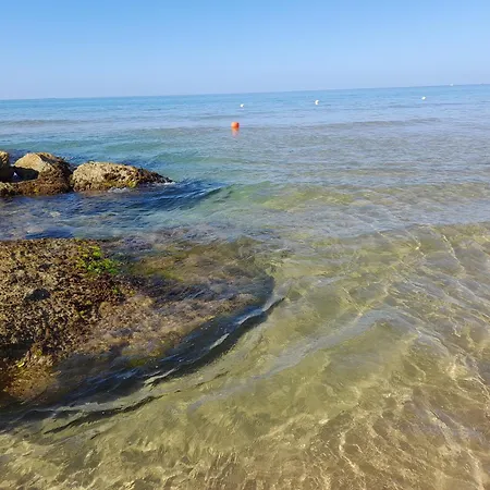 Appartamento Airport Casa Sofia 500mt From The *