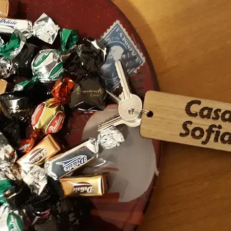 Airport Casa Sofia 500mt From The Fiumicino